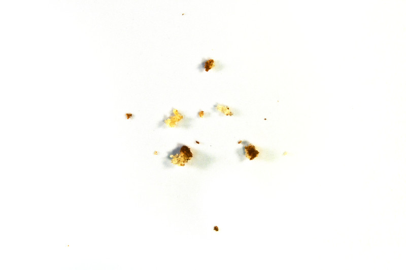crumbs.jpg